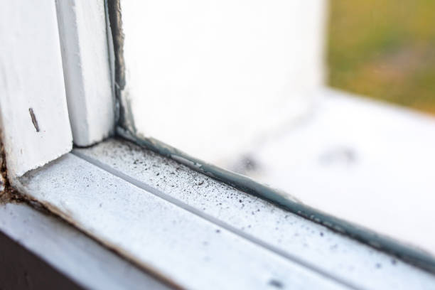 Best Residential Mold Inspection & Testing  in Rancho Tehama Reserve, CA