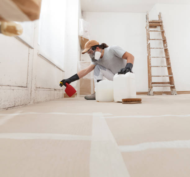 Professional Mold Removal in Rancho Tehama Reserve, CA